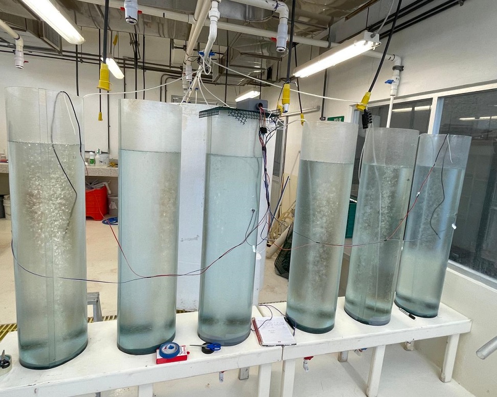 Laboratorio MoaM